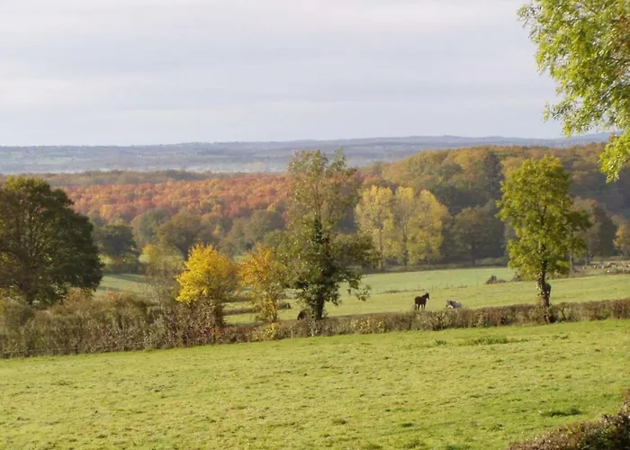 Дом отдыха Ecologique 3 Ch. Avec Jardin Proche Foret - Ideal Famille - Fr-1-489-40 *