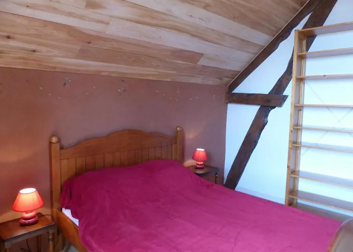 Ecologique 3 Ch. Avec Jardin Proche Foret - Ideal Famille - Fr-1-489-40 * Blomard